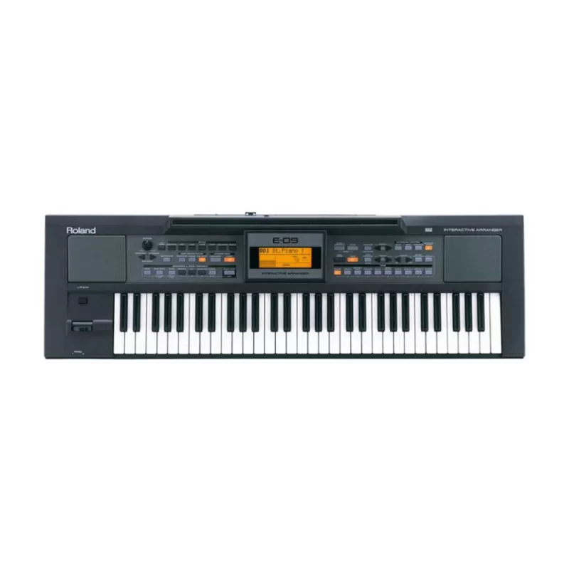 ROLAND E-09 Aranjör Klavye